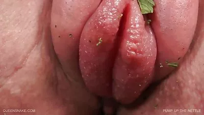 سراخ ها, سیاه پوست جوان برهنه, سگ ماده, ضربات مانند یک الهه, Kelly Divine ضربات تاریک فیلم وعگس سگسی کیر